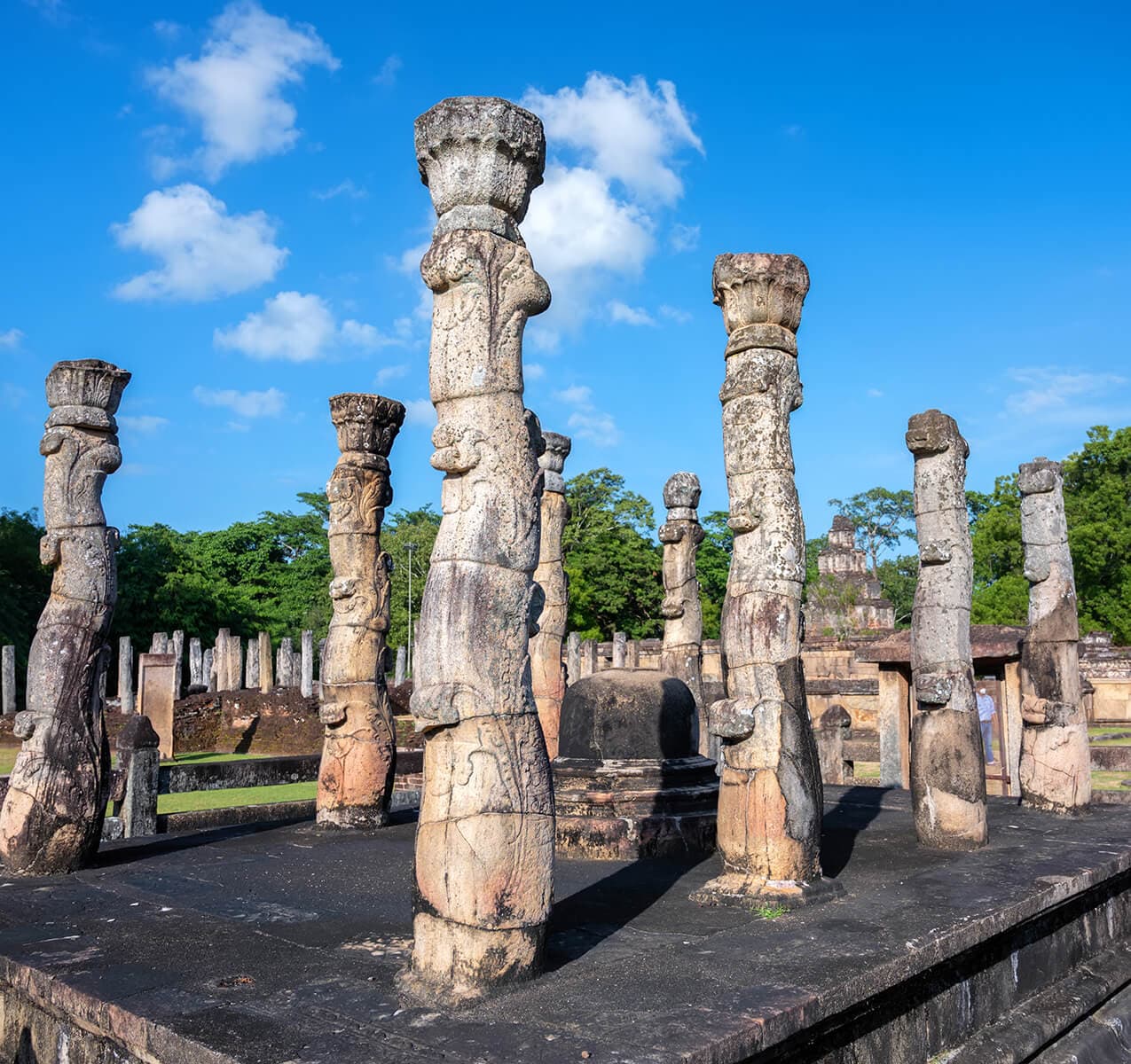 UNESCO World Heritage Site Tour in Sri Lanka