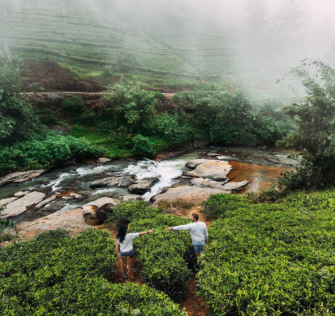 04 Days Kandy - Nuwara Eliya - Colombo Tour