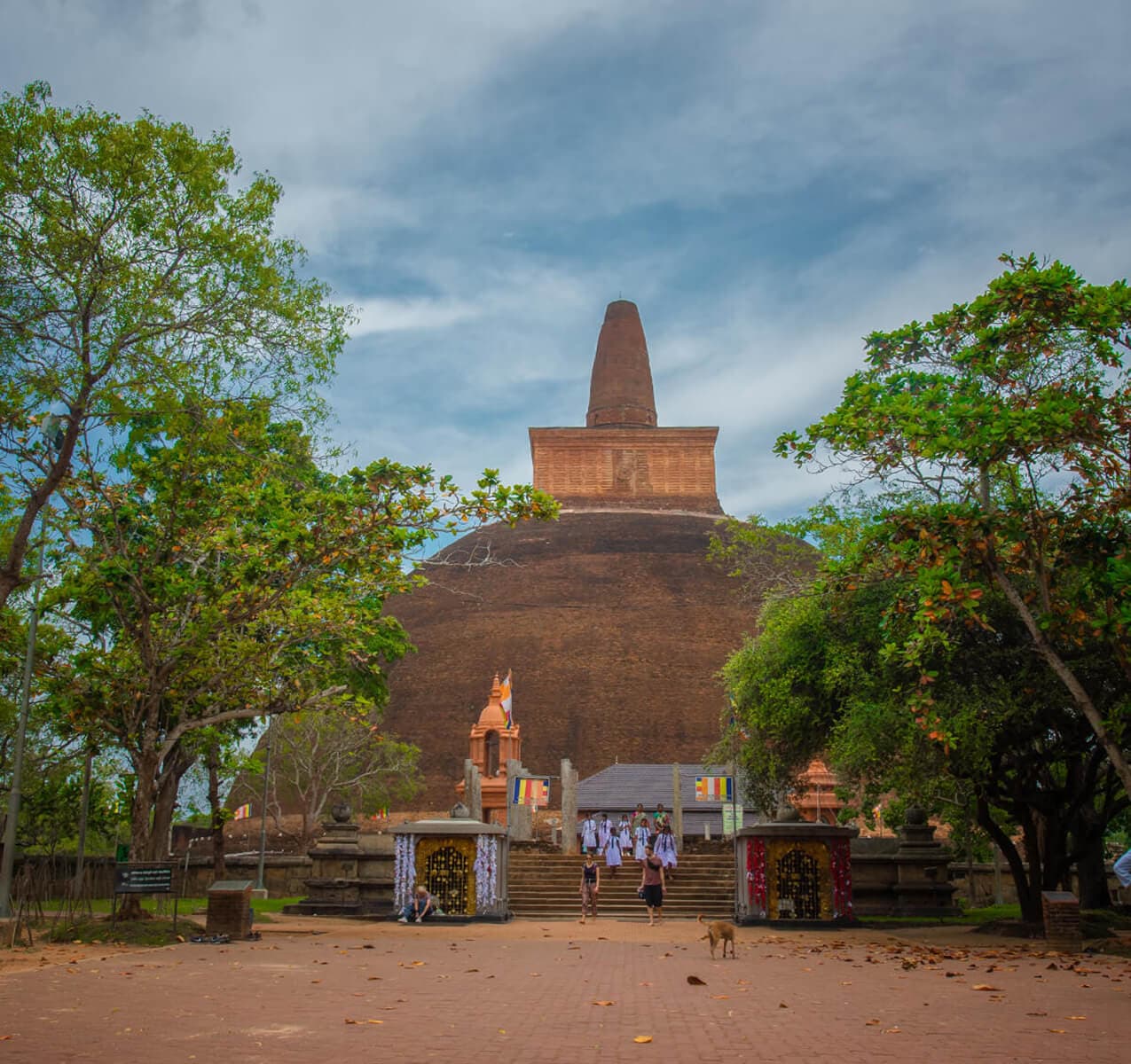 Anuradhapura Day Tour