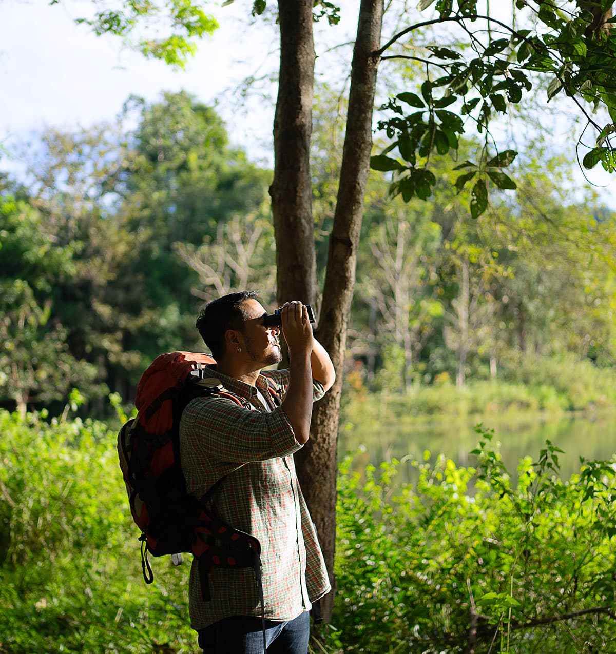 Feathered Trails of Ceylon