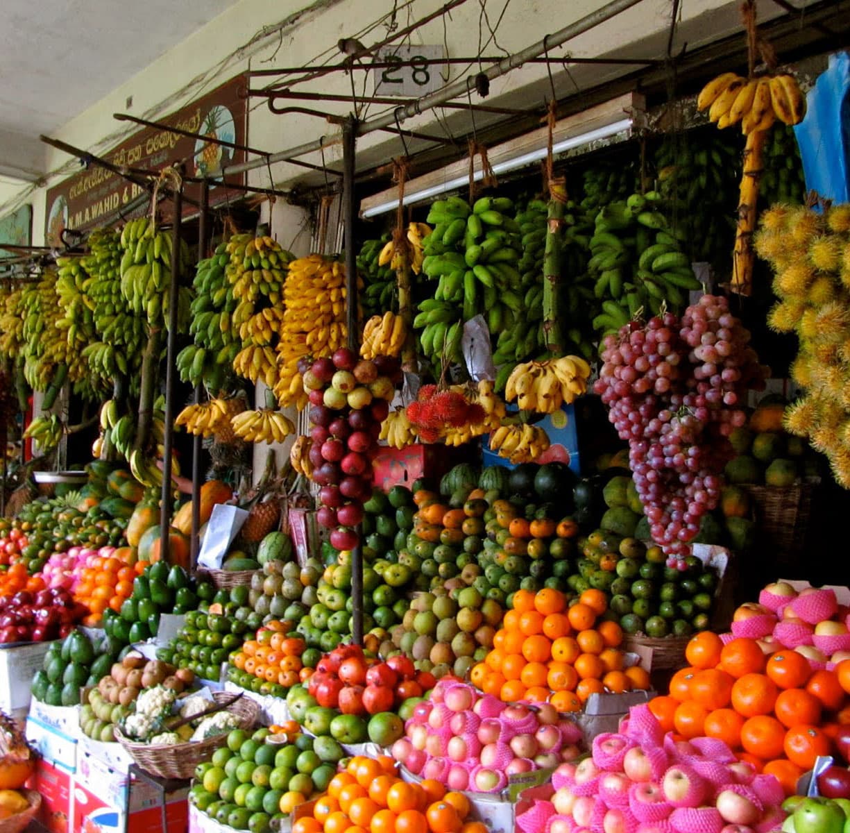 Shopping Tour in Sri Lanka