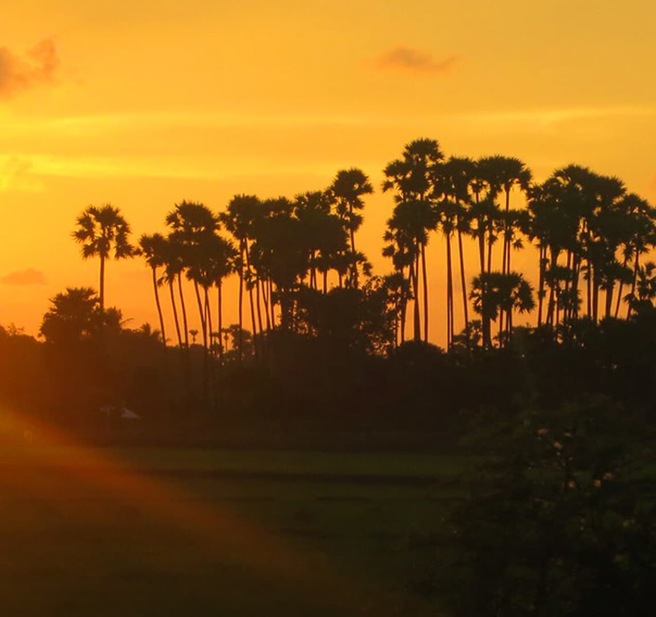 Explore Northwest, East and Central Tour in Sri Lanka