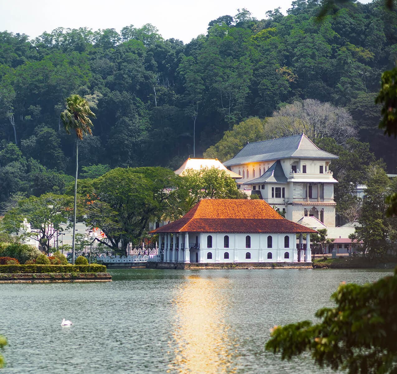 Kandy Day Tour