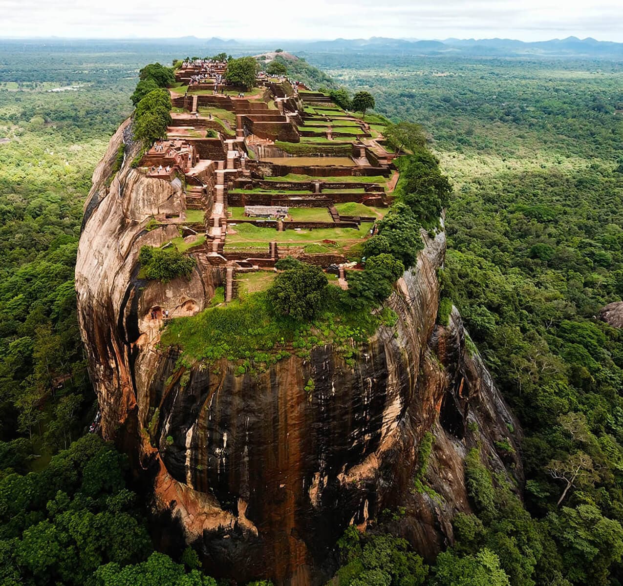 Sigiriya & Dambulla Day Tour