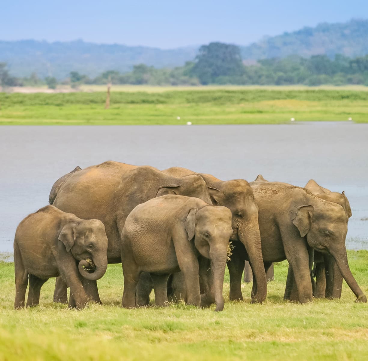 Short Break Tour in Sri Lanka 2